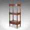 Antique Mahogany Display Stand, 1860s 4
