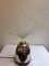 Fountain Table Lamp from BMF, 1960s, Image 4