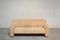 Vintage DS-44 Neck Leather Three-Seater Sofa from de Sede 7