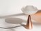 Matte Copper Lotus Table Lamp by Serena Confalonieri for Mason Editions 2