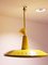 Pendant Lamps from Philips, 1950s, Set of 2, Image 2