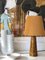 Vintage Mustard Chamotte Lamp by Gunnar Nylund for Rörstrand, Image 2