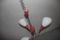 Lámpara de araña italiana, años 50, Imagen 3