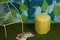 Puf de exterior Leaf en amarillo de Nicolette de Waart para Design by Nico, Imagen 3