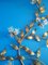 Large Italian Gilt Metal & Glass Floral Wall Light, 1950s, Image 7