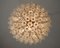 Spherical Murano Candelier, 1978, Image 12
