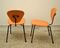 Dining Chairs by Campo e Graffi for ISA Bergamo, 1950s, Set of 4 2