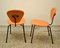 Dining Chairs by Campo e Graffi for ISA Bergamo, 1950s, Set of 4, Image 2