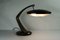Table Lamp from Raptek Milano, 1950s 15