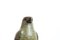 Vintage Danish Ceramic Sparrowhawk by Niels Nielsen for Bing & Grøndahl, Image 6