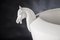 Italian Ceramic Horse Vase by Marco Segantin for VGnewtrend, Image 2