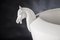 Jarrón italiano en forma de caballo de cerámica de Marco Segantin para VGnewtrend, Imagen 2