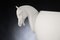 Small Italian Ceramic Horse Vase by Marco Segantin for VGnewtrend, Image 2