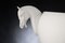 Vaso piccolo Horse in ceramica di Marco Segantin per VGnewtrend, Immagine 2