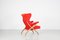 Vintage Fiorenza Chair by Franco Albini for Arflex, 1950s 11