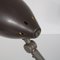 Dutch Desk Lamp from Hala, 1950s 11