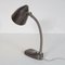 Dutch Desk Lamp from Hala, 1950s 4