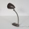 Dutch Desk Lamp from Hala, 1950s, Image 12