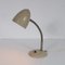 Dutch Desk Lamp from Hala, 1950s 1