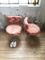 Vintage Pink Chairs from Pelfran, Set of 2, Image 4
