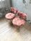 Sedie vintage rosa di Pelfran, set di 2, Immagine 5