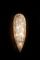 Arabeske Wandlampe aus Stahl & Kristallglas von VGnewtrend 1
