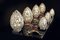 Lámpara de mesa Egg Arabesque pequeña de acero y cristal de VGnewtrend, Imagen 3