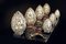 Steel & Crystal Arabesque Egg Table Lamp from VGnewtrend, Image 2