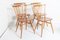 Chaises Vintage par Lucian Ercolani pour Ercol, Set de 4 6