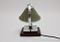 Art Deco Chrome and Maple Tree Table Lamp, 1920s 7