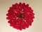 Red Murano Glass Chandelier, 1983, Image 4