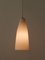 Lampe à Suspension Mid-Century par Aloys F. Gangkofner pour Peill & Putzler, 1950s 12