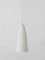 Mid-Century Modern Pendant Lamp by Aloys F. Gangkofner for Peill & Putzler, 1950s 11