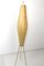 Standing Floor Lamp from Kalmar, 1950s, Image 18