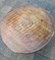 Vintage Tree Trunk Coffee Table Top 7