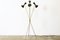 Mid-Century Italian Black Brass Floor Lamp from Stilnovo, 1950s 6