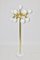 Mid-Century 13 Arm Brass Atomic Floor Lamp by Trix & Robert Haussmann, 1960s 1