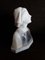 Antique Alabaster Bust by Alphonse Henri Nelson 2