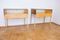 Vintage Bauhaus Style Console Tables, 1960s, Set of 2 3