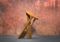 Sgabello pieghevole in legno di Roger Tallon per Sentou, Francia, anni '70, Immagine 4