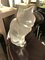 Escultura de gato sentado de vidrio de Lalique, años 60, Imagen 8