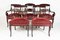 Sedie da pranzo Royal rosse, fine XIX secolo, set di 8, Immagine 9