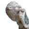 Estatua de jardín de león sosteniendo un escudo vintage de arenisca, Imagen 4