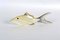 Mid-Century Acrylic Glass Fish Figurines by Abraham Palatnik, 1960s, Set of 3, Image 7