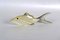 Mid-Century Acrylic Glass Fish Figurines by Abraham Palatnik, 1960s, Set of 3 8