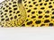 Leopardo in vetro acrilico di Abraham Palatnik, anni '70, Immagine 2