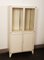 Mid-Century Industrial Glass & Iron Medical Cabinet from Kovona, 1950s, Image 4