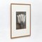 Fotografía vintage floral en blanco y negro de Karl Blossfeldt, 1942, Imagen 9