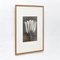 Photographie de Fleur Noire et Blanche Vintage par Karl Blossfeldt, 1942 9