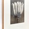 Vintage Black & White Flower Photograph by Karl Blossfeldt, 1942, Image 8